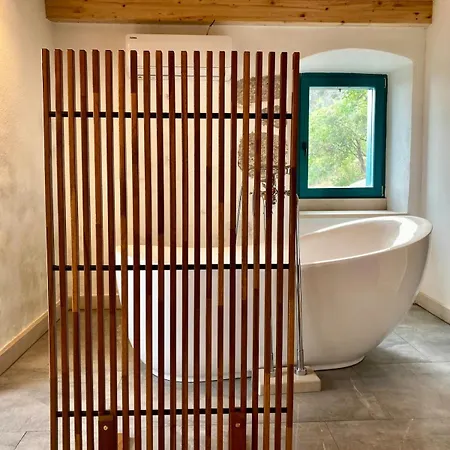 Blue Dream 穆尔维察