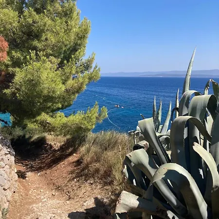 Blue Dream Holiday home Murvica (Brac)