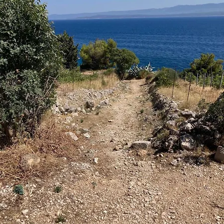 Blue Dream Murvica (Brac)