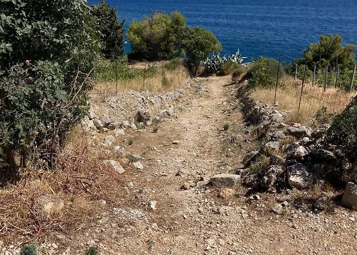 Blue Dream Murvica (Brac)