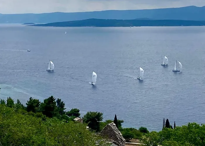 Blue Dream * Murvica (Brac)