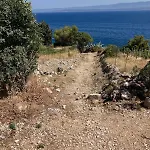 Blue Dream Murvica (Brac)